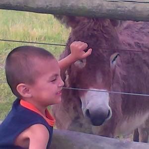 Meet your Posher, Lucy